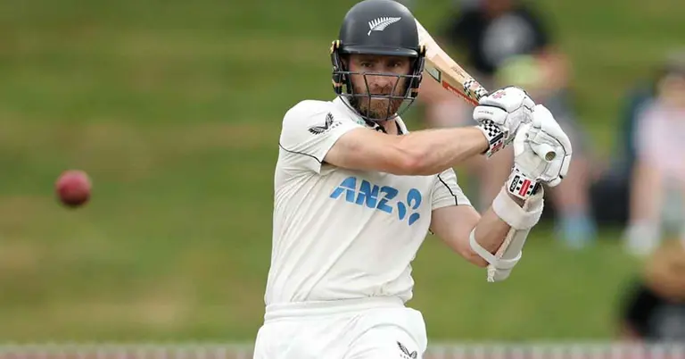 মাঠে খেলছেন কেন উইলিয়ামসন